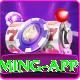 pkr777 VIP Gaming App